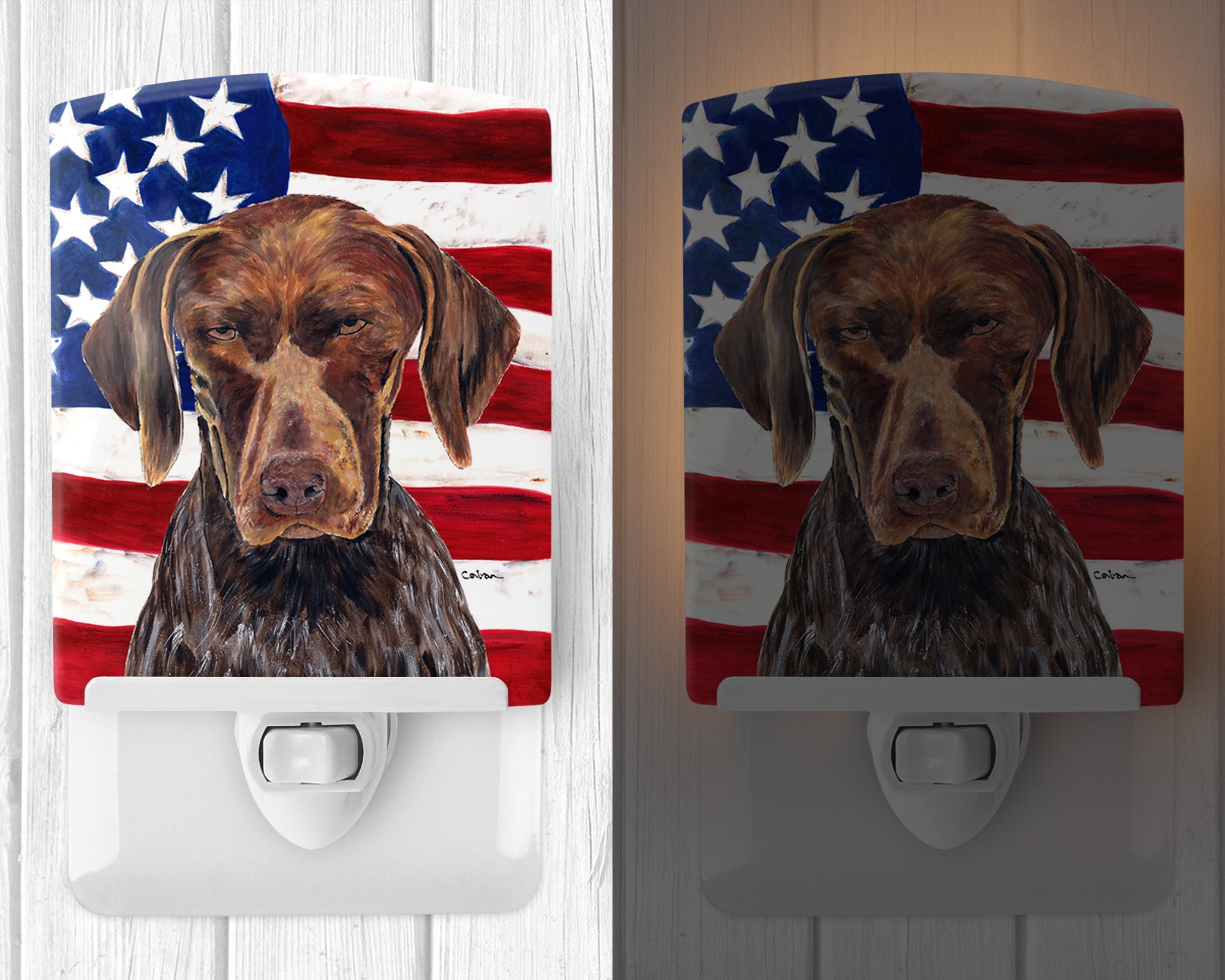 USA American Flag with German Shorthaired Pointer Ceramic Night Light SC9034CNL - the-store.com