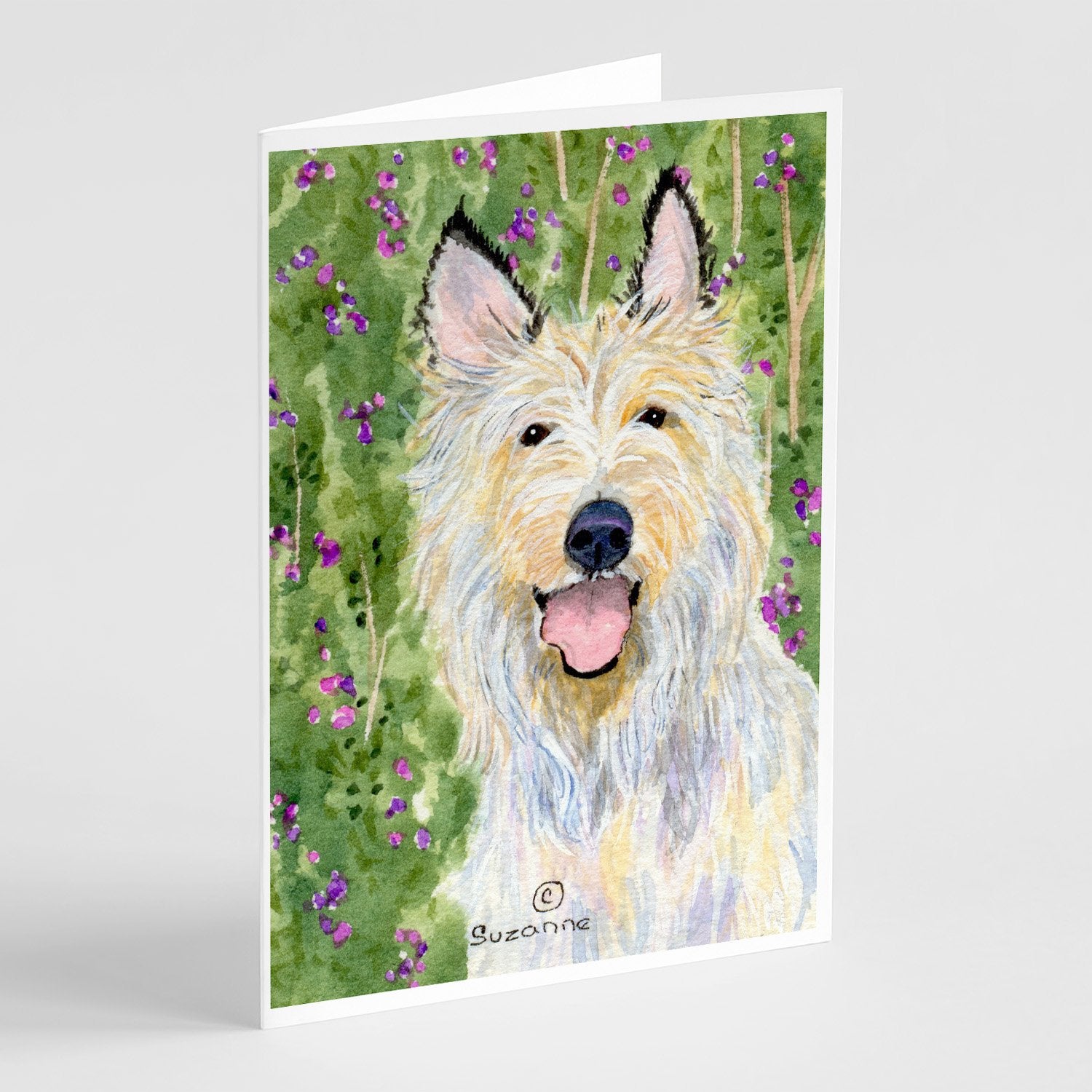 Buy this Berger Picard Greeting Cards and Envelopes Pack of 8