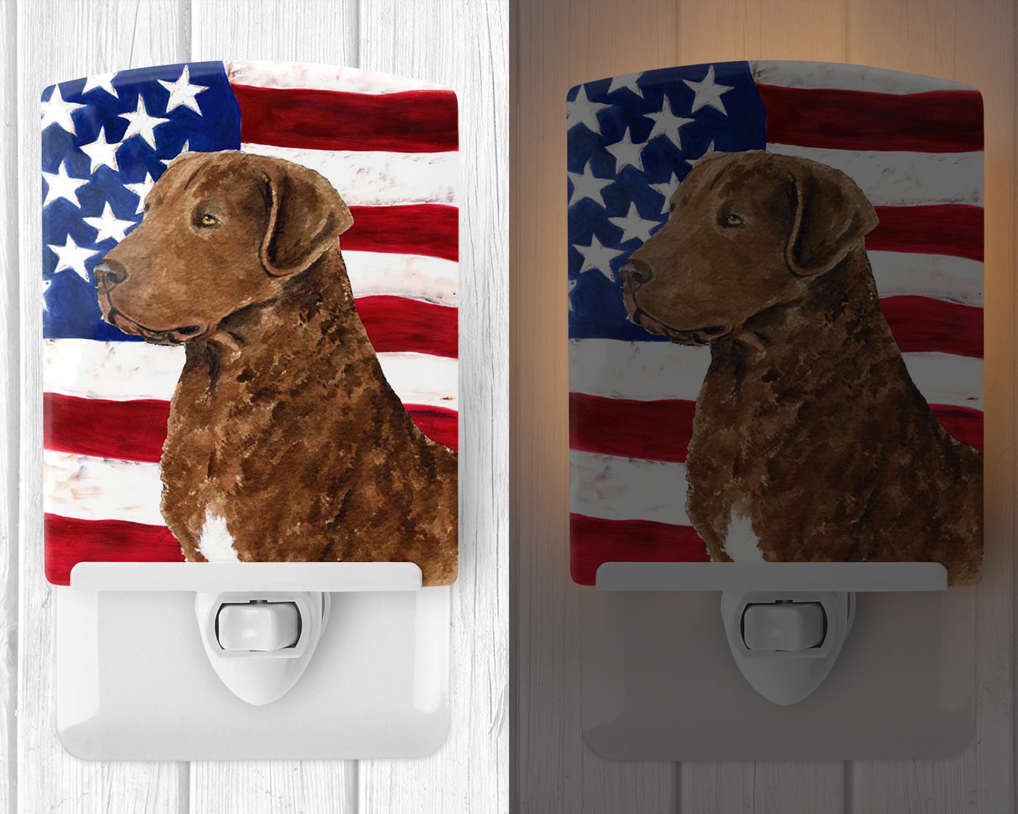 USA American Flag with Curly Coated Retriever Ceramic Night Light SS4016CNL - the-store.com