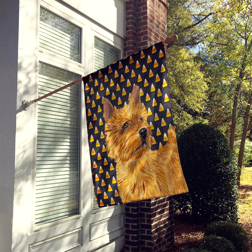 Norwich Terrier Candy Corn Halloween Portrait Flag Canvas House Size