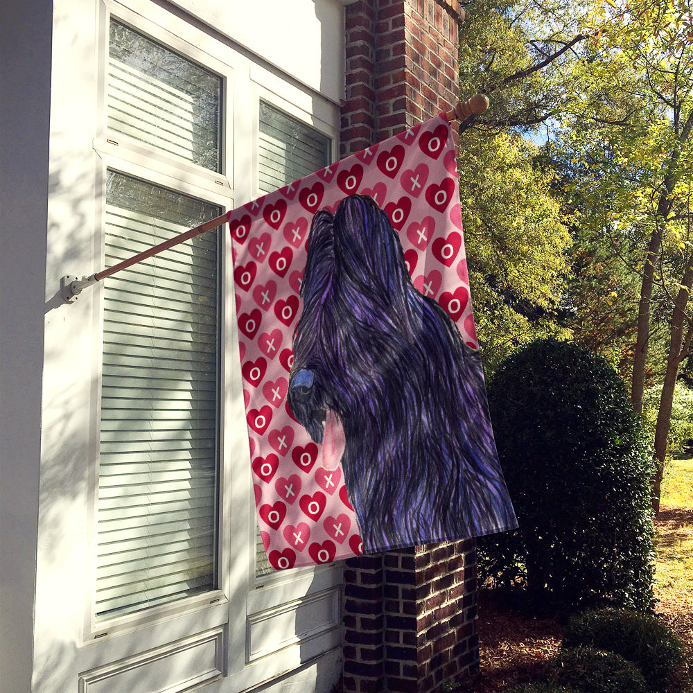 Briard Hearts Love and Valentine's Day Portrait Flag Canvas House Size