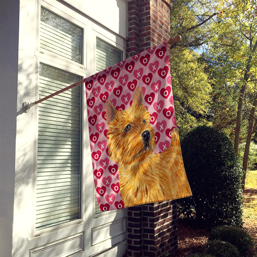 Norwich Terrier Hearts Love and Valentine's Day Portrait Flag Canvas House Size