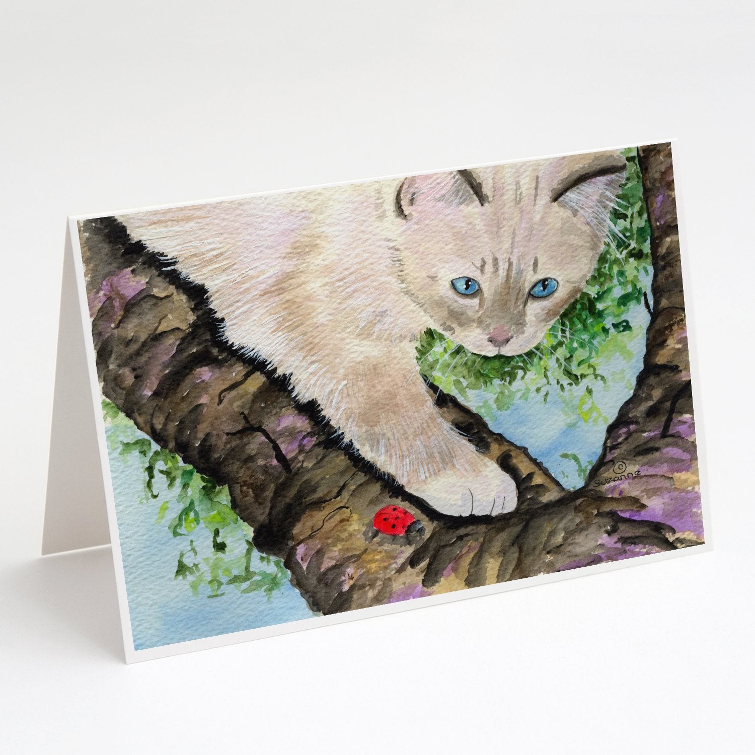 Buy this Cat - Birman Greeting Cards and Envelopes Pack of 8