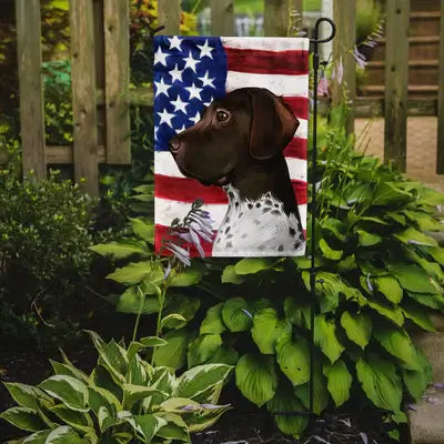 Old Danish Pointer