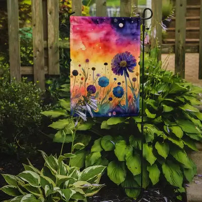 Scabiosa