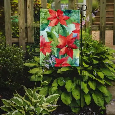 Poinsettias