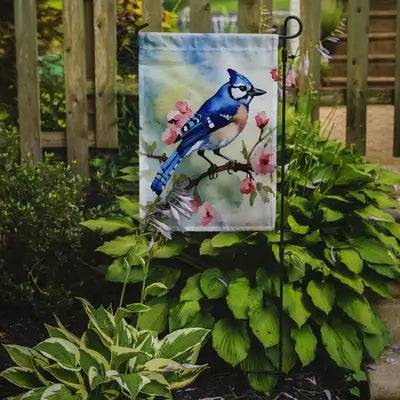 Blue Jay