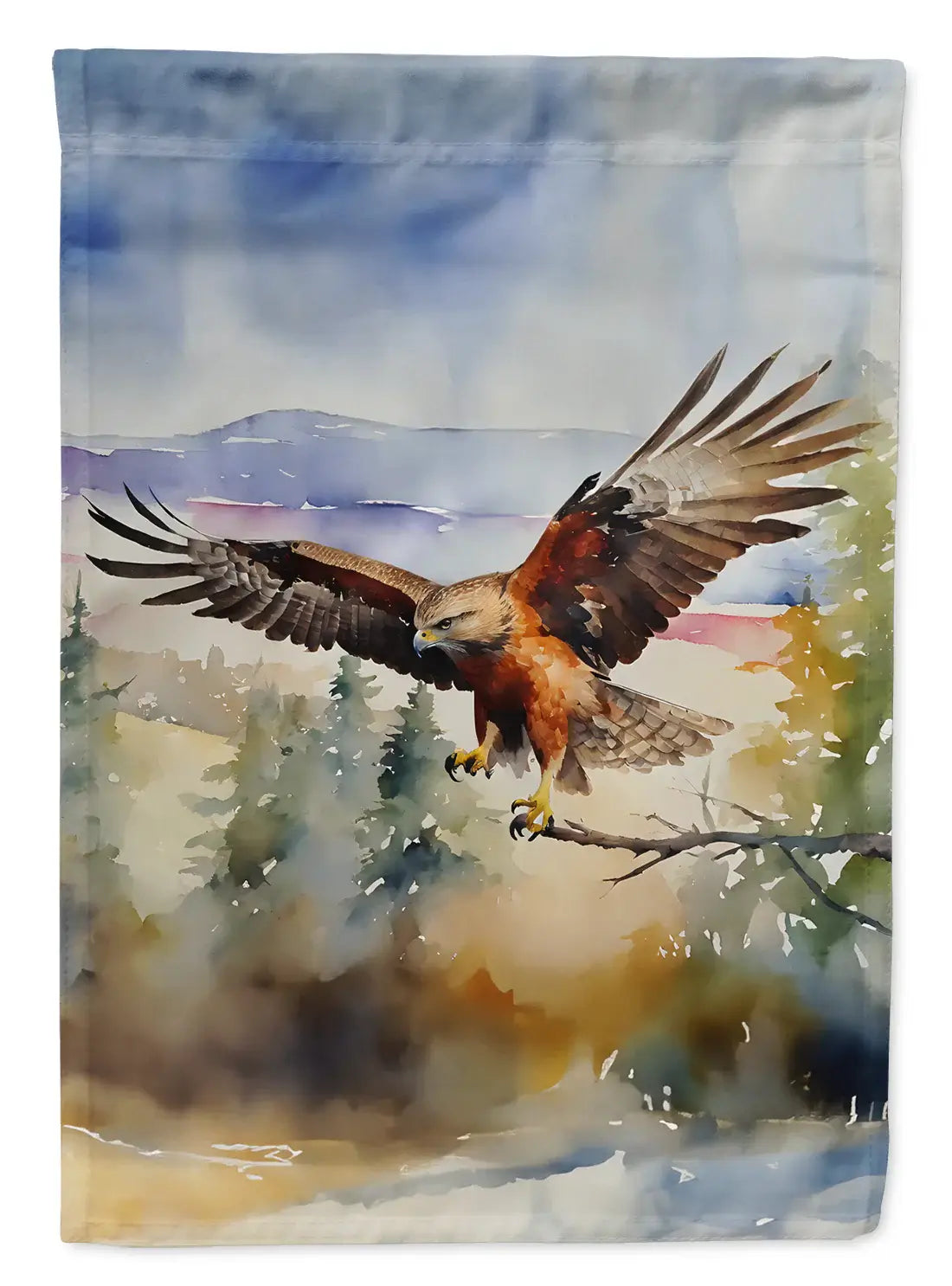 Hawk