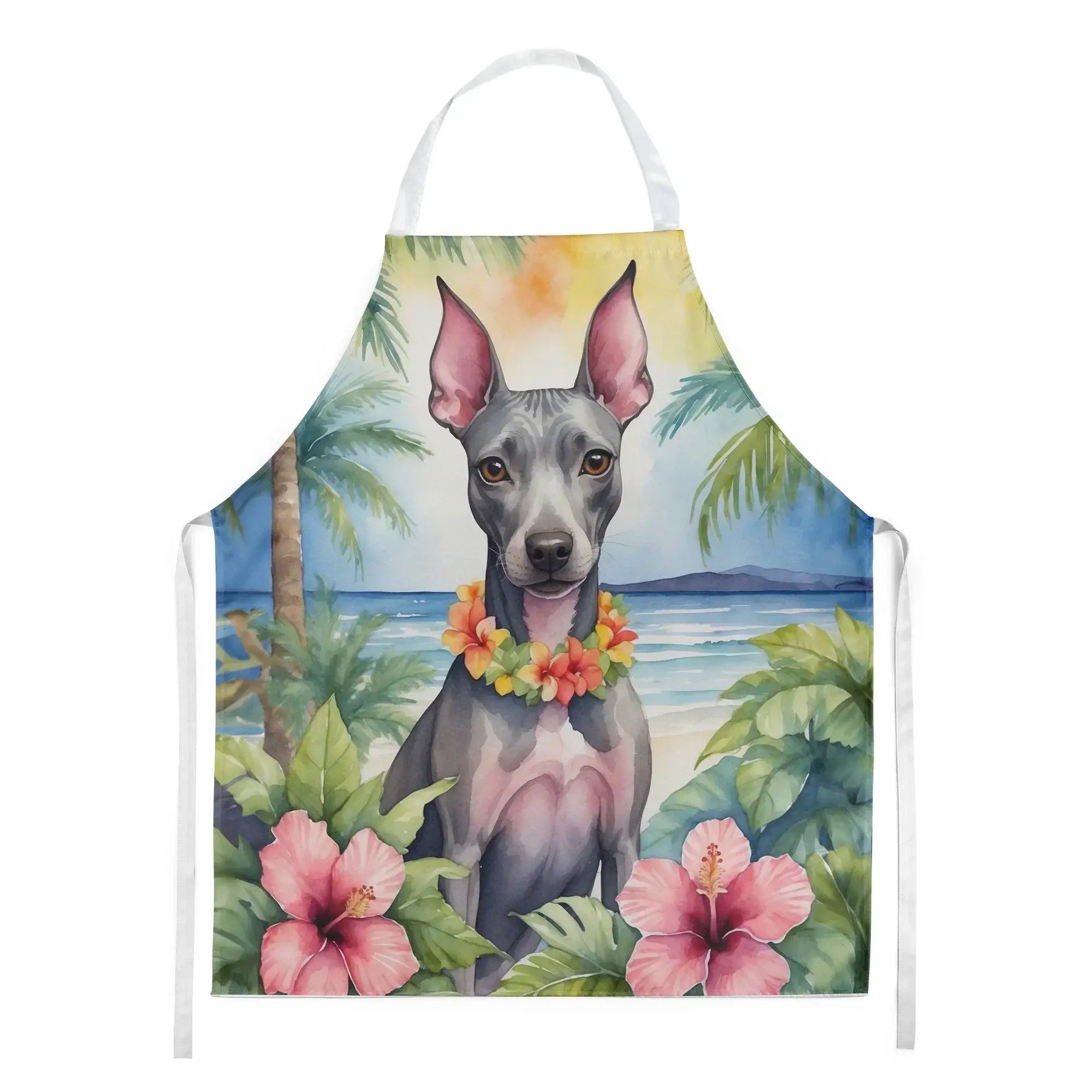 American Hairless Terrier