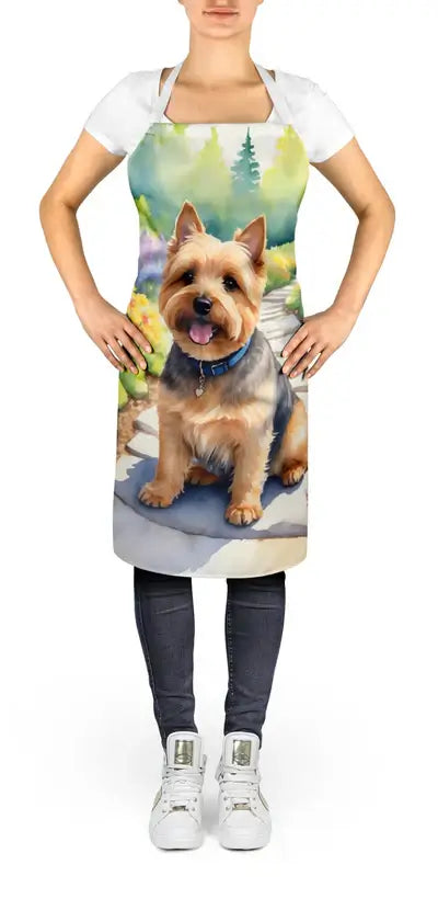 Norwich Terrier