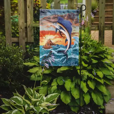 Sailfish