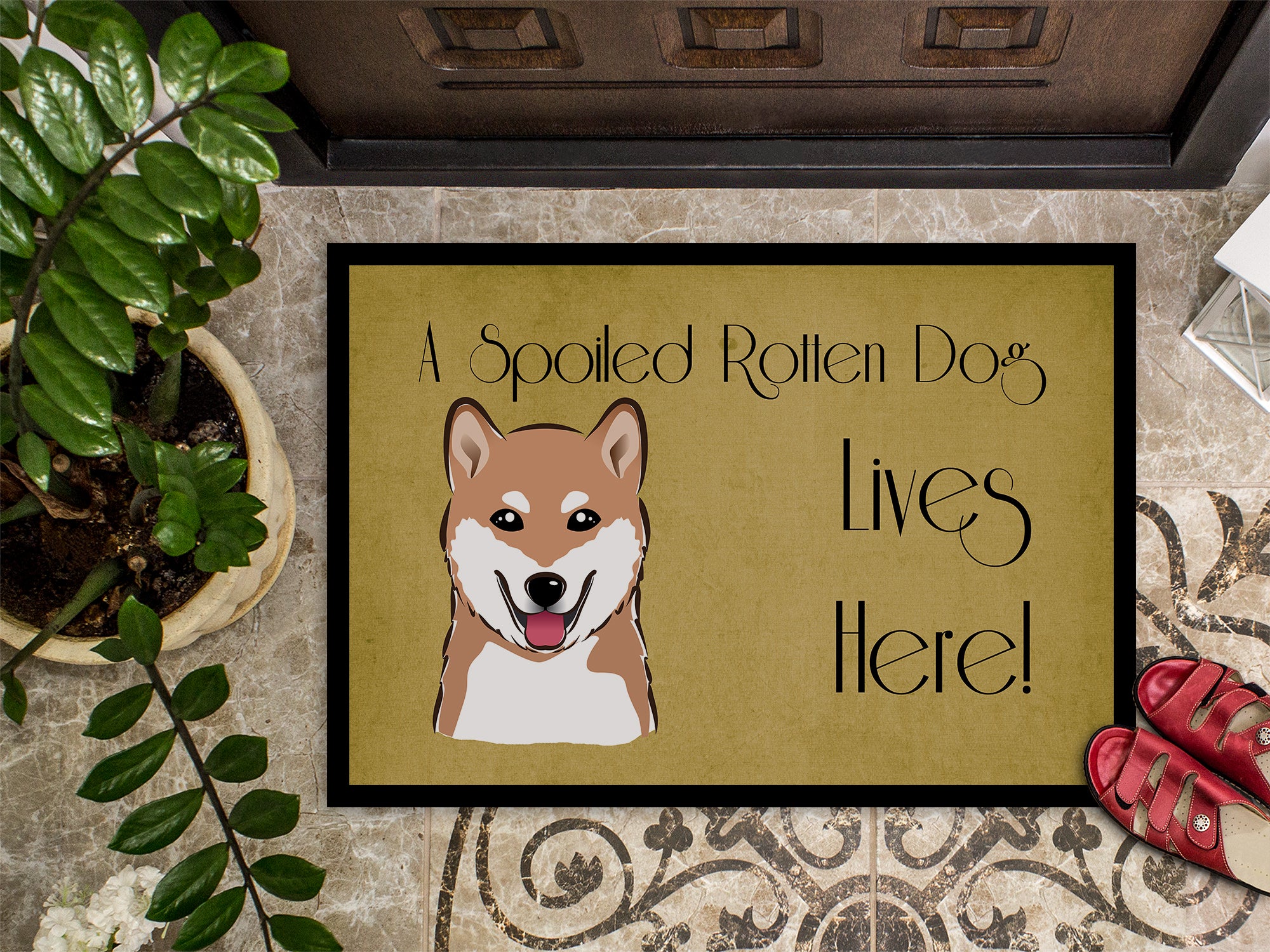 Caroline's Treasures Shiba Inu Spoiled Dog Lives Here Doormat - 24x36 Decorative Floor Mat – Indoor/Outdoor Rug with Artistic Flair BB1473JMAT