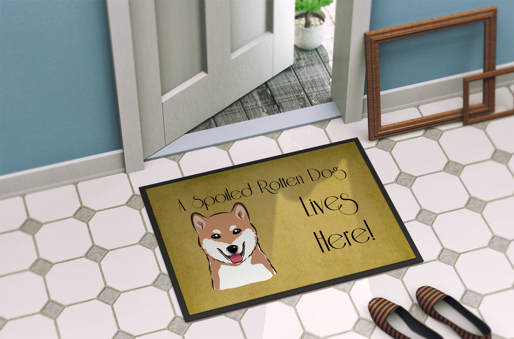 Caroline's Treasures Shiba Inu Spoiled Dog Lives Here Doormat - 24x36 Decorative Floor Mat – Indoor/Outdoor Rug with Artistic Flair BB1473JMAT