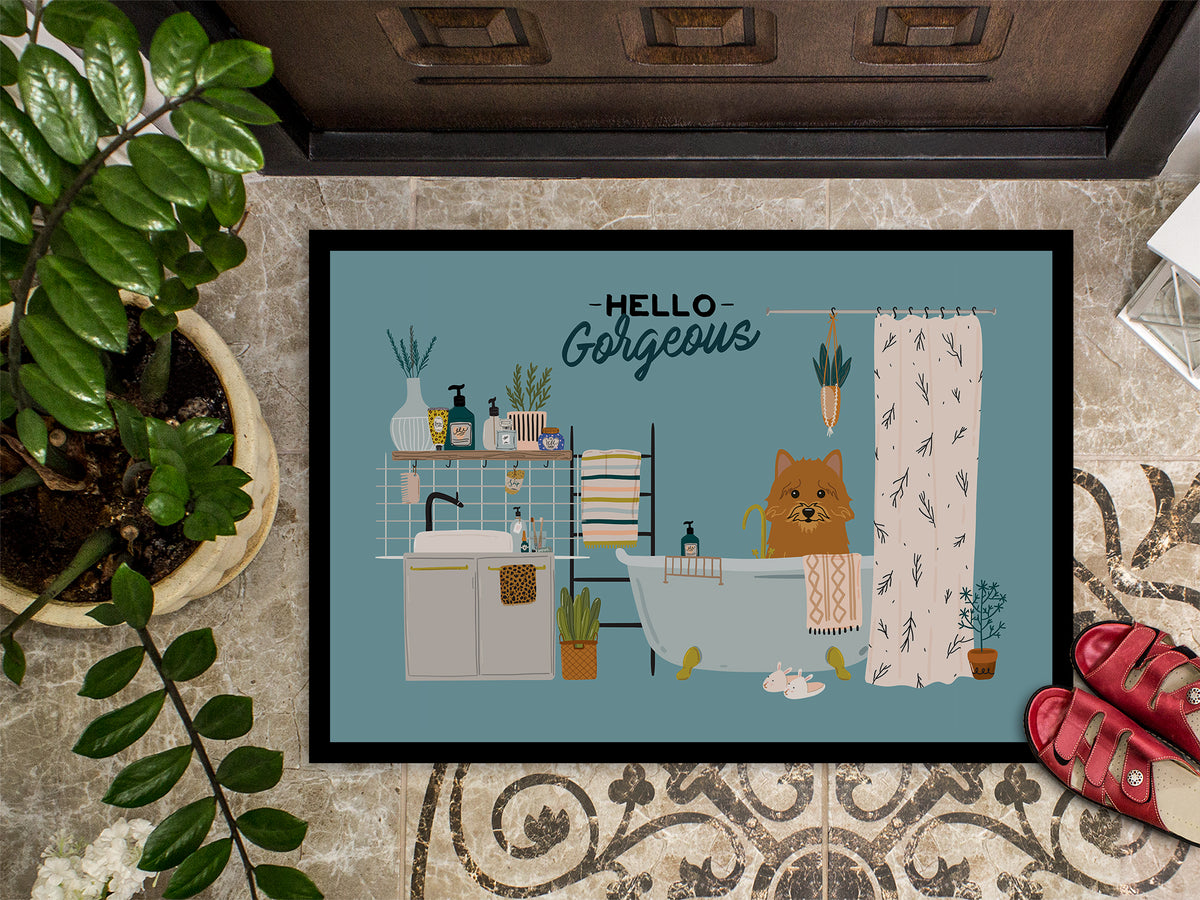 Caroline's Treasures Norwich Terrier in Bathtub Doormat - 24x36 Decorative Floor Mat – Indoor/Outdoor Rug with Artistic Flair CK7442JMAT
