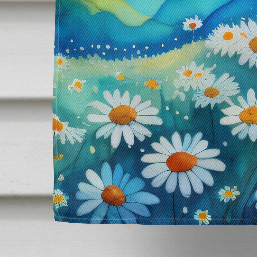 Daisies in Color House Flag