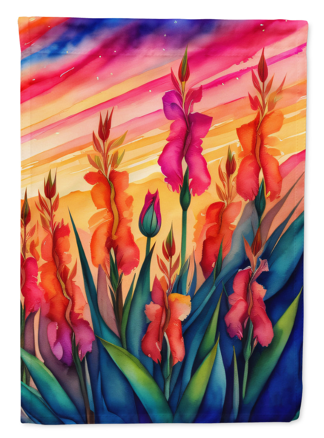 Buy this Gladiolus in Color House Flag