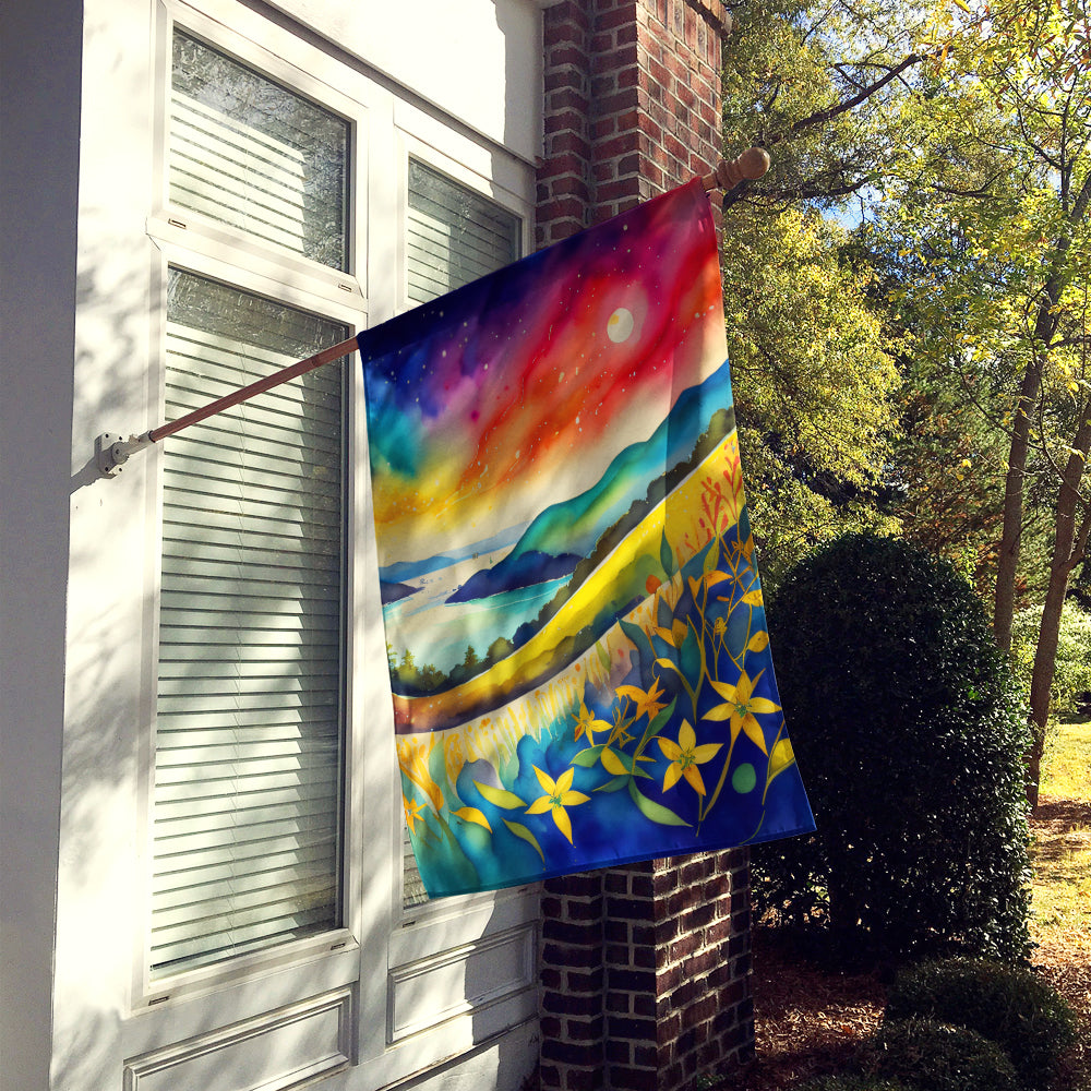 Caroline's Treasures Hypericum or St. John�s Wort in Color House Flag
