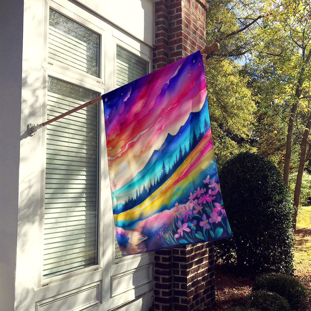 Buy this Phlox in Color House Flag
