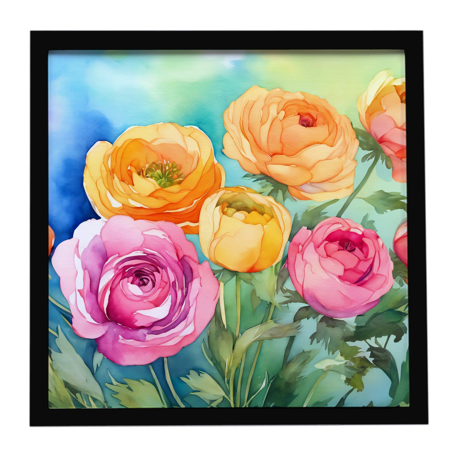 Caroline's Treasures Ranunculus in Watercolor Framed Metal Print