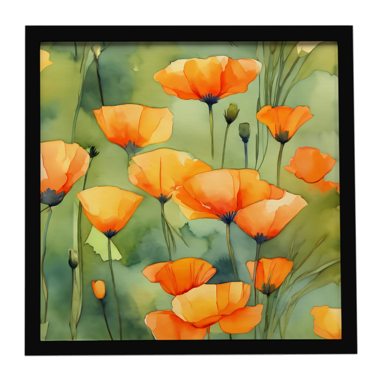 Caroline's Treasures California California Poppies in Watercolor Framed Metal Print