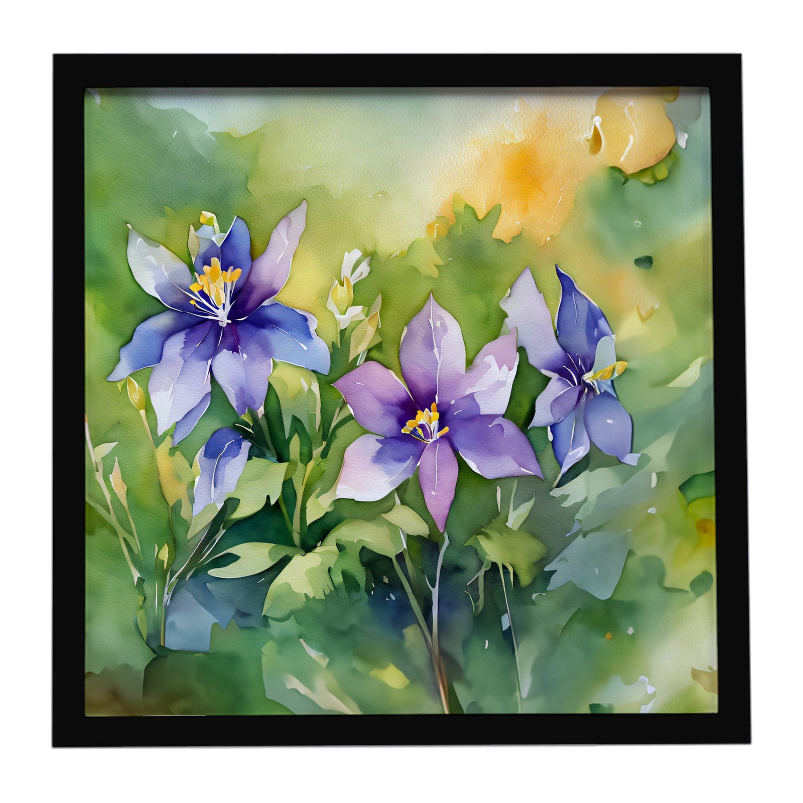 Caroline's Treasures Colorado Rocky Mountain Columbine in Watercolor Framed Metal Print