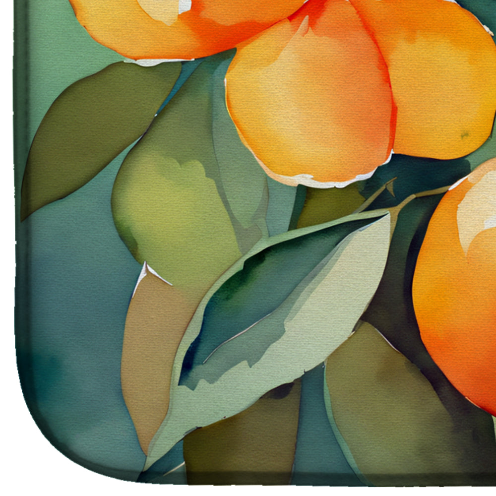 Caroline's Treasures Florida Orange Blossom in Watercolor Dish Drying Mat