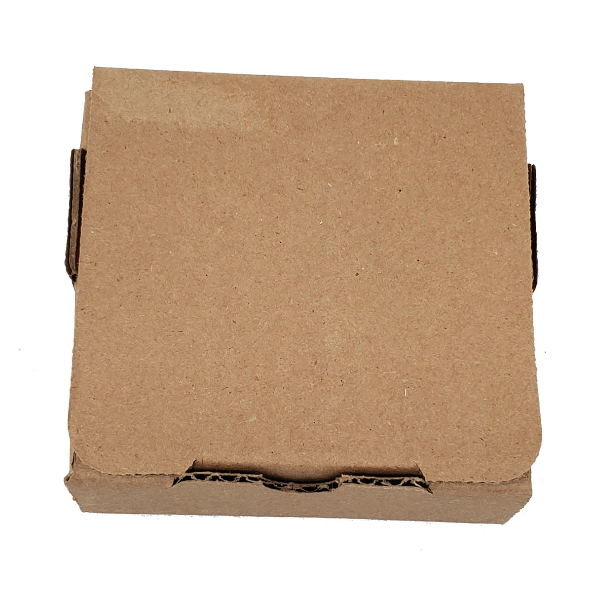 Caroline's Treasures Louisiana Magnolias in Watercolor Large Sandstone Coasters Pack of 4