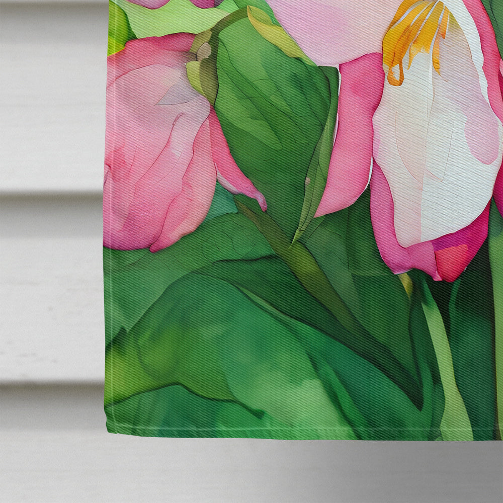 Minnesota Pink and White Lady�s Slippers in Watercolor House Flag