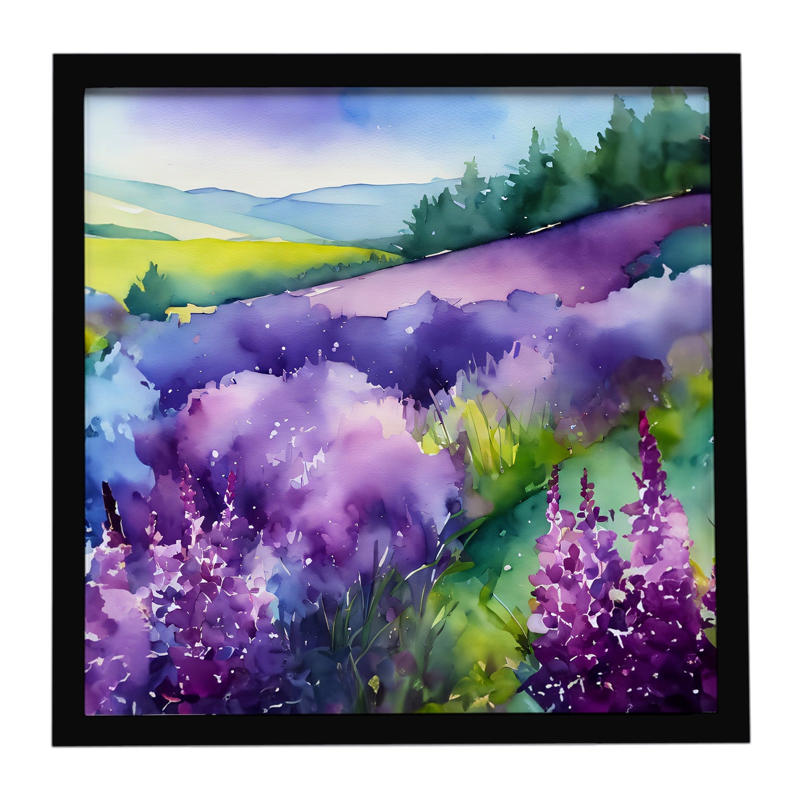 Caroline's Treasures New Hampshire Purple Lilac in Watercolor Framed Metal Print