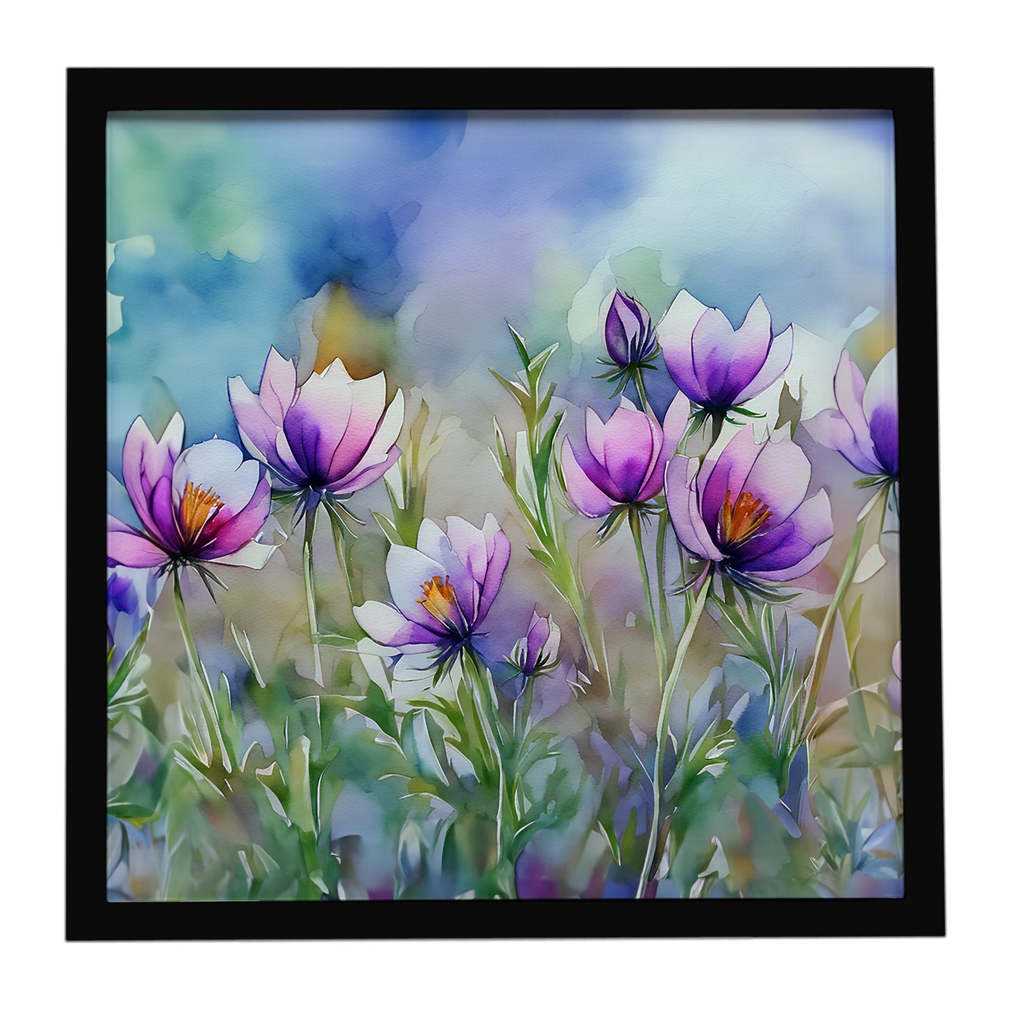 Caroline's Treasures South Dakota Pasque Flowers in Watercolor Framed Metal Print