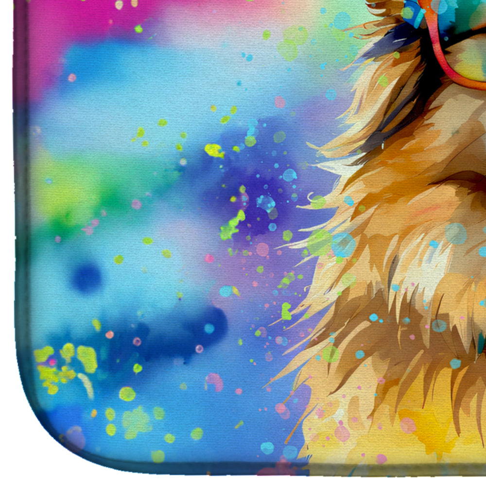 Caroline's Treasures Hippie Dawg Dish Drying Mat