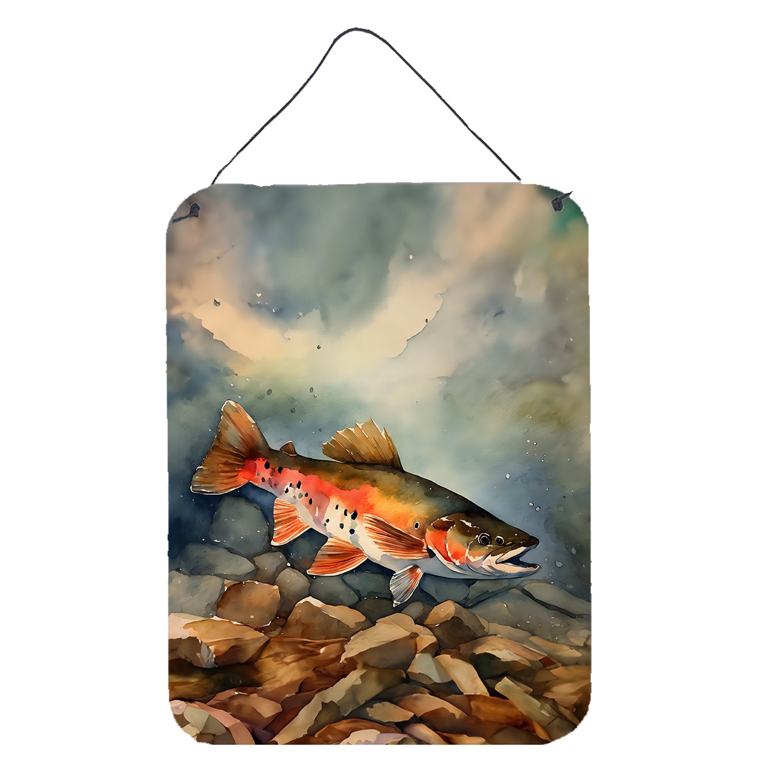 Buy this Brook Trout Wall or Door Hanging Prints