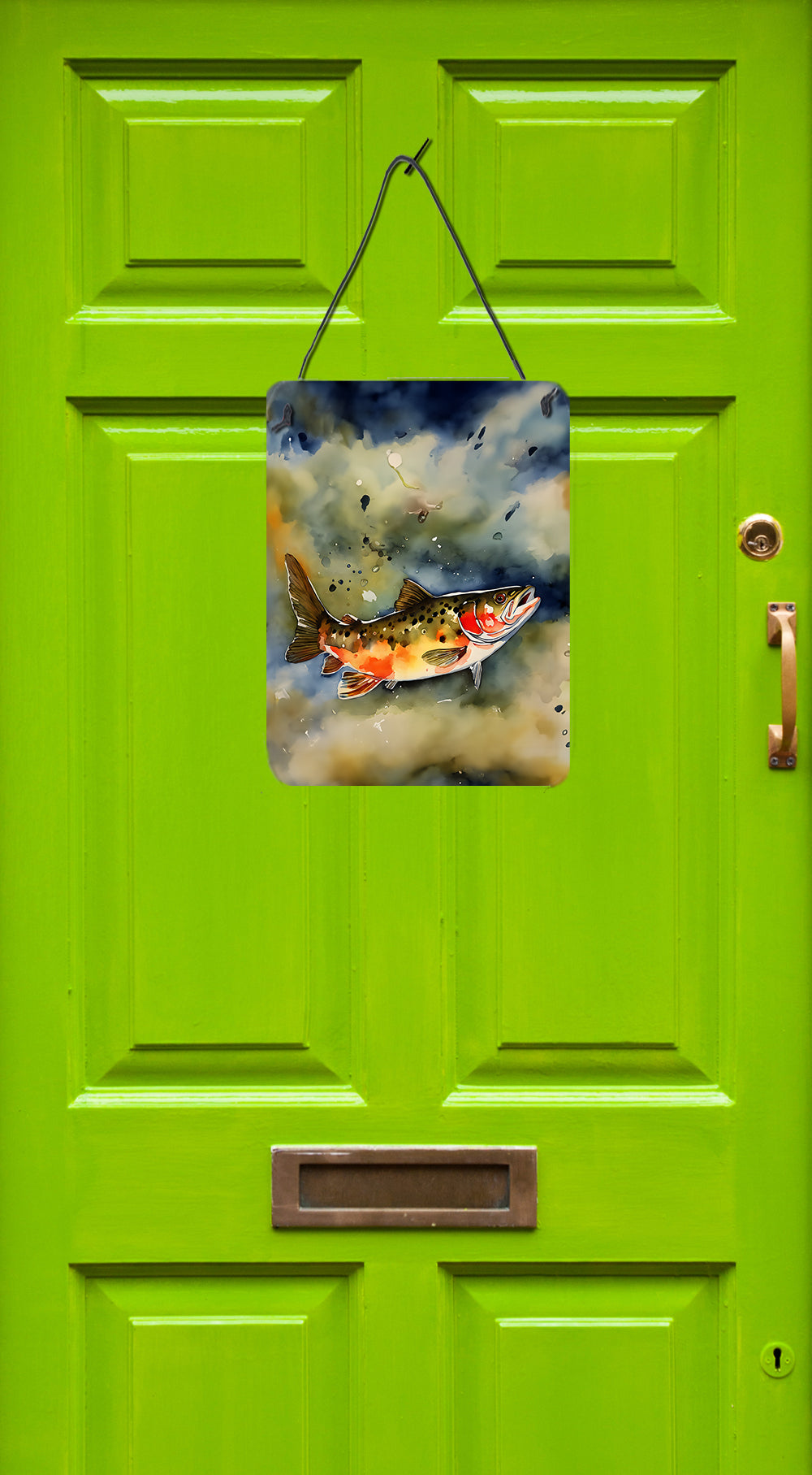 Buy this Brook Trout Wall or Door Hanging Prints