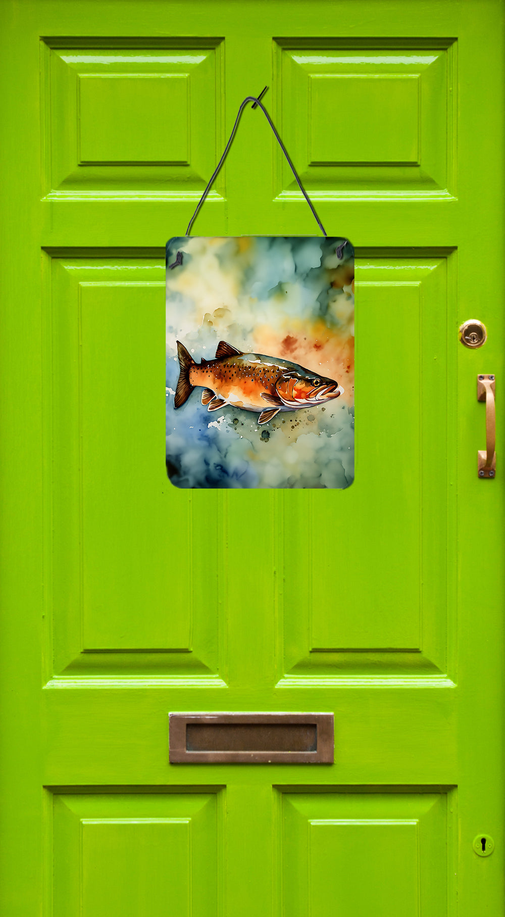 Buy this Brown Trout Wall or Door Hanging Prints