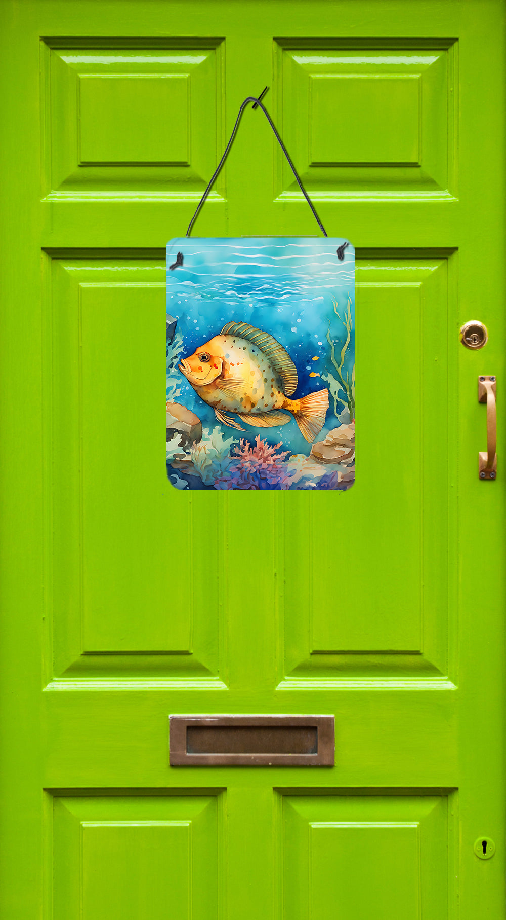 Buy this Flounder Wall or Door Hanging Prints