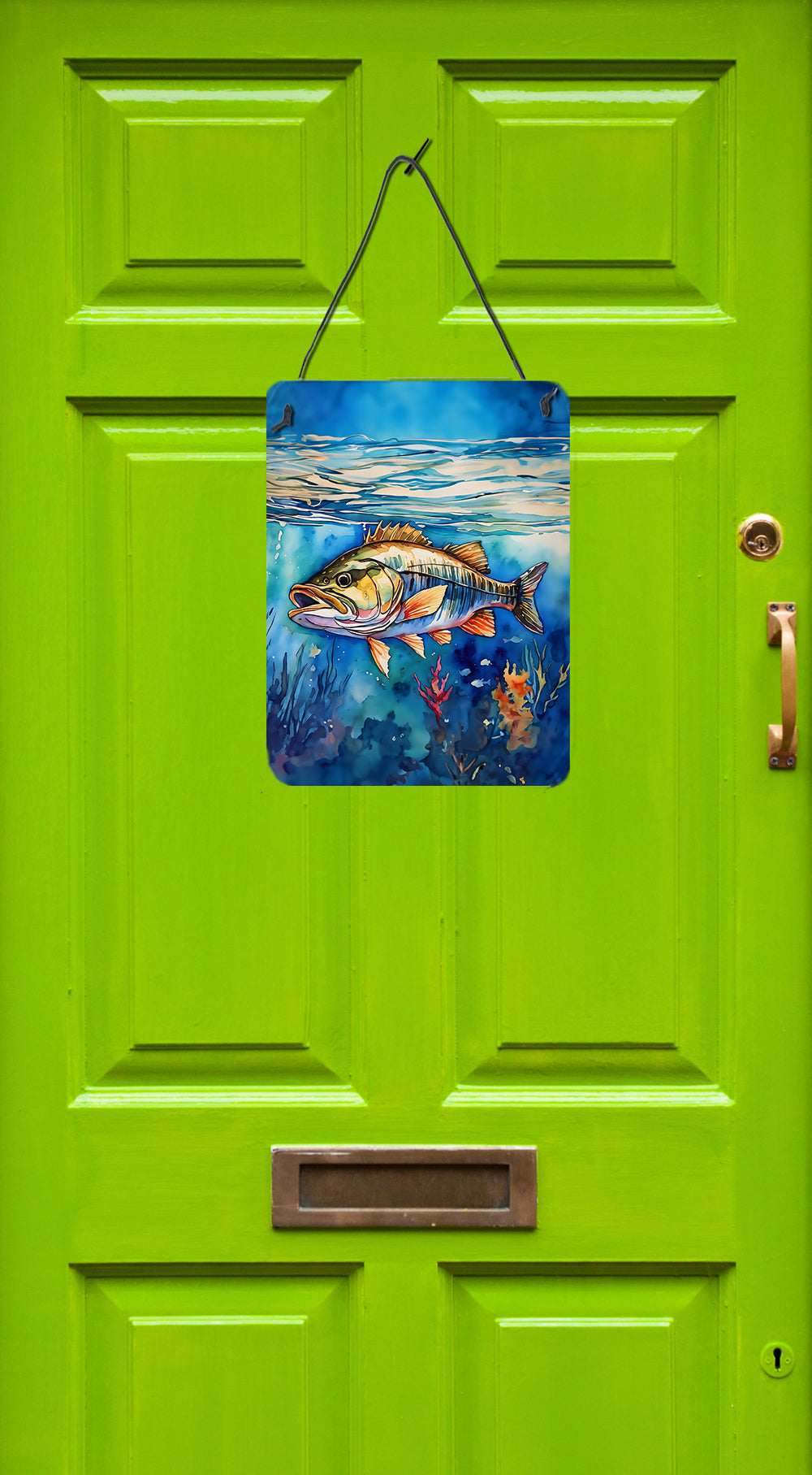 Buy this Striped Bass Wall or Door Hanging Prints