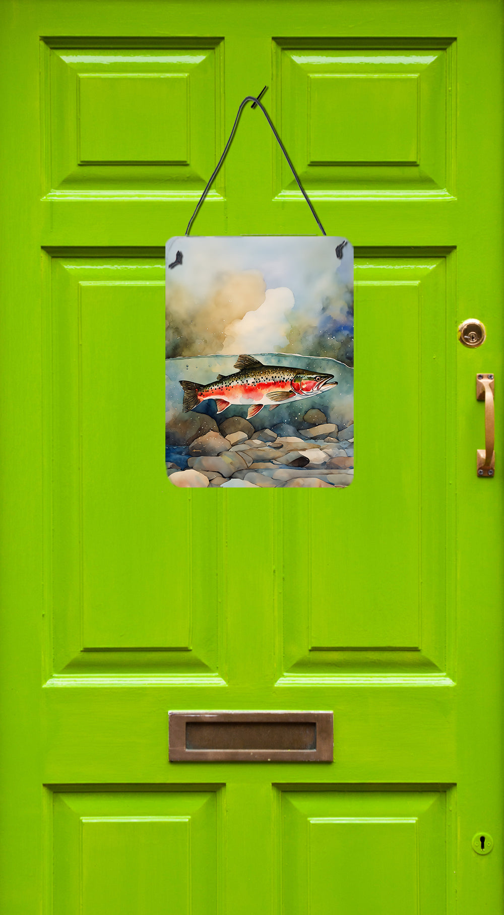 Buy this Trout Wall or Door Hanging Prints
