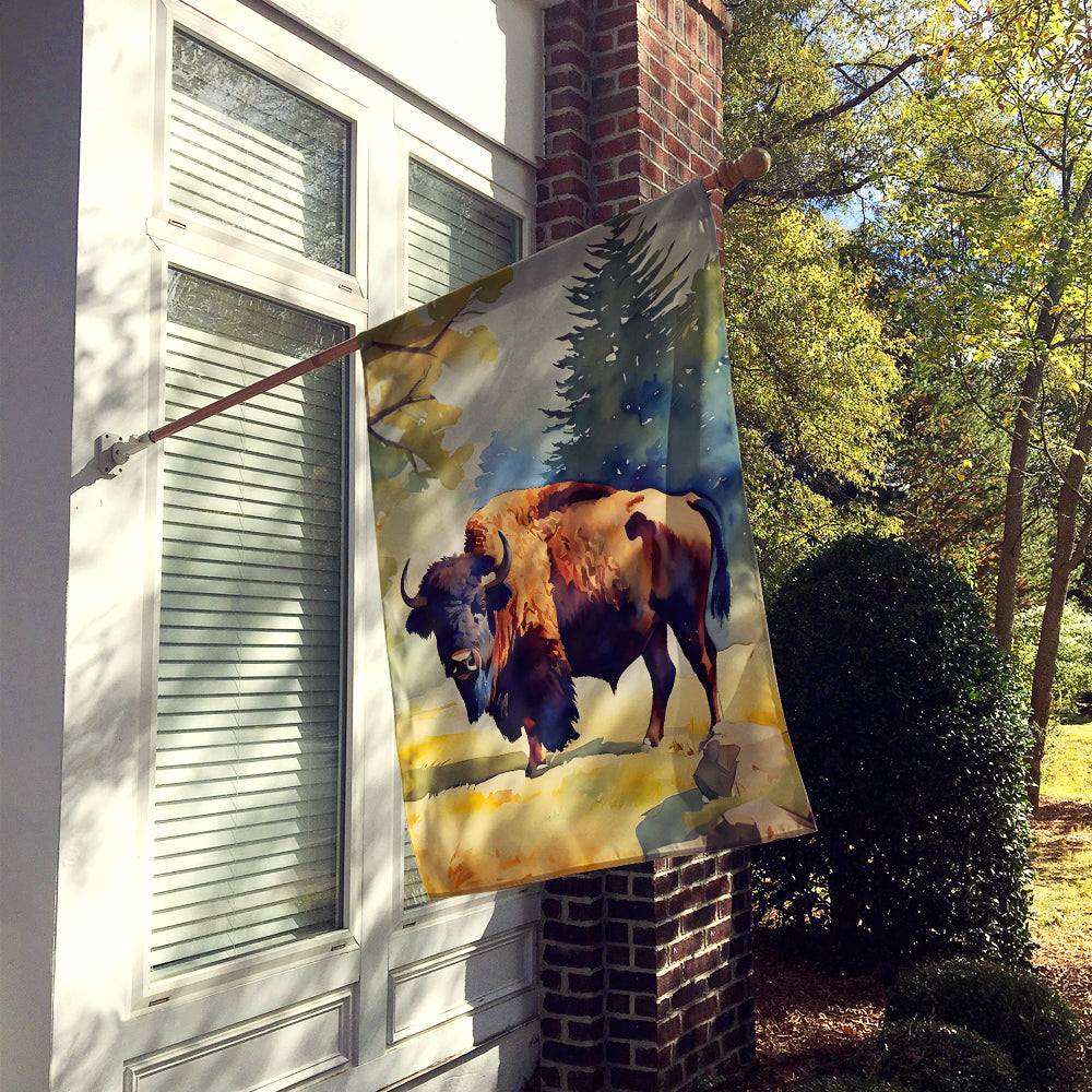 Caroline's Treasures American Bison House Flag