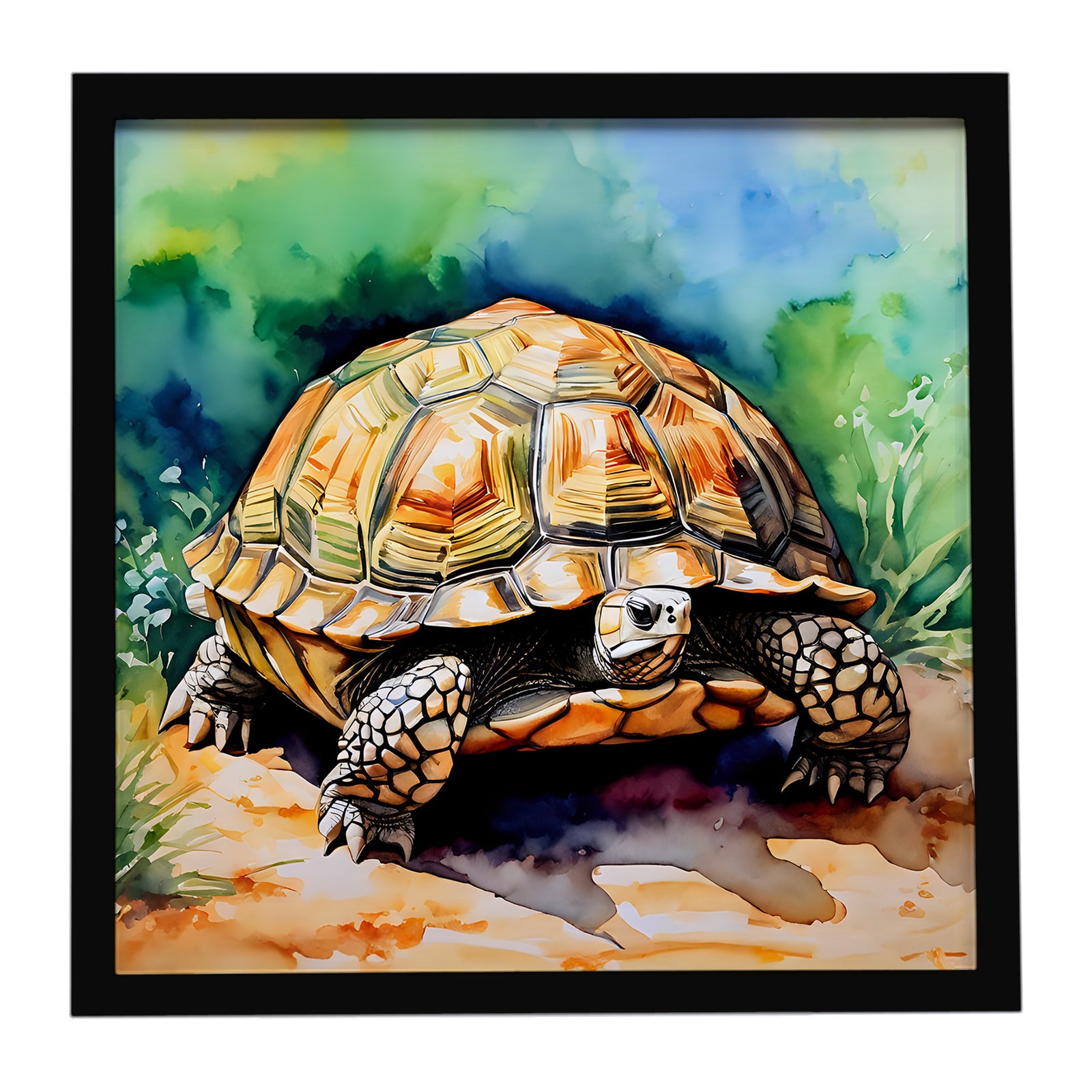 Caroline's Treasures Turtles Tortoises Framed Metal Print