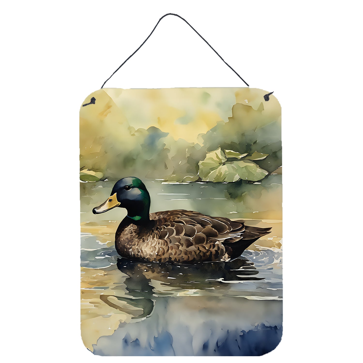 Buy this American Black Duck Wall or Door Hanging Prints