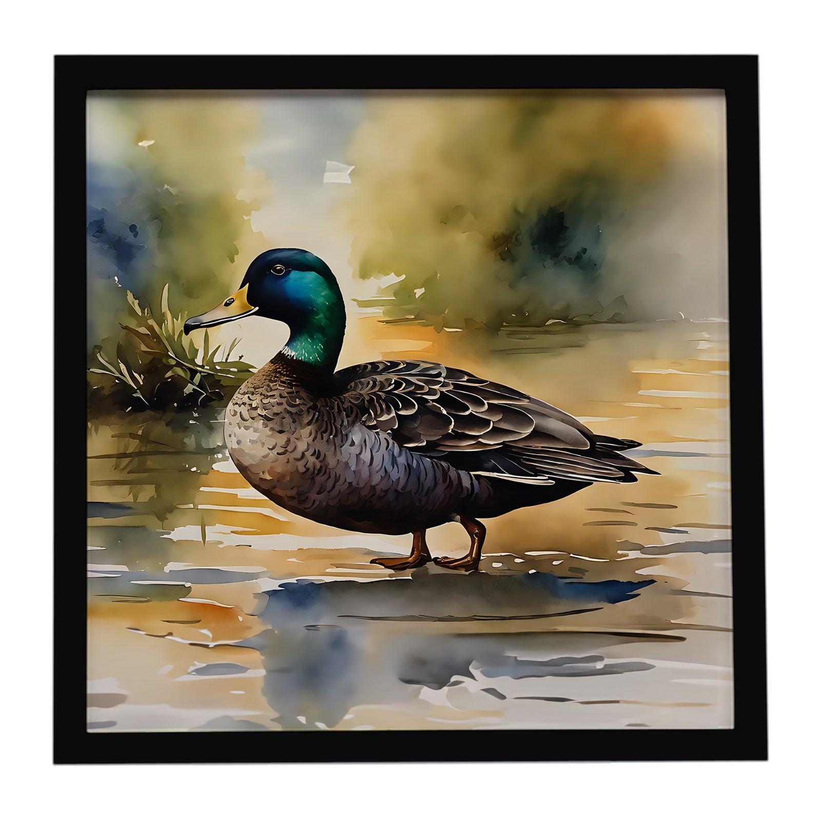 Caroline's Treasures American Black Duck Framed Metal Print