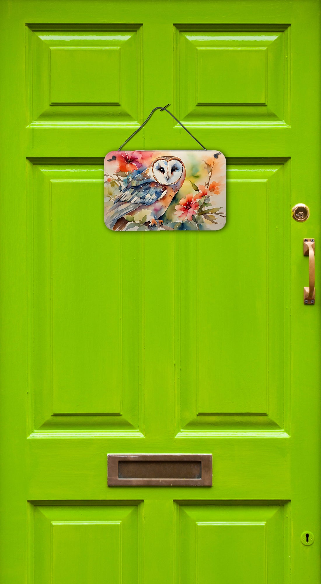 Buy this Barn Owl Wall or Door Hanging Prints