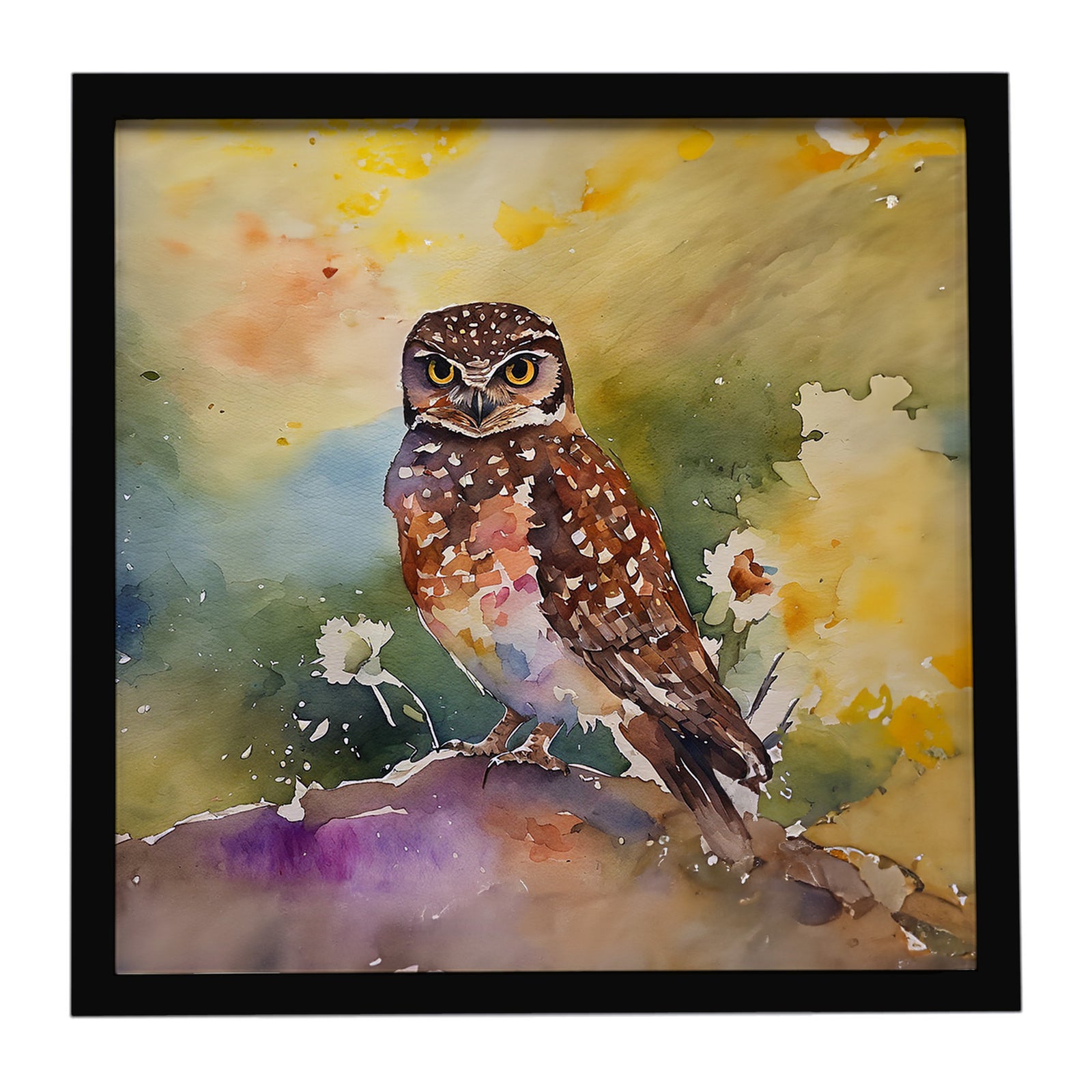 Caroline's Treasures Burrowing Owl Framed Metal Print