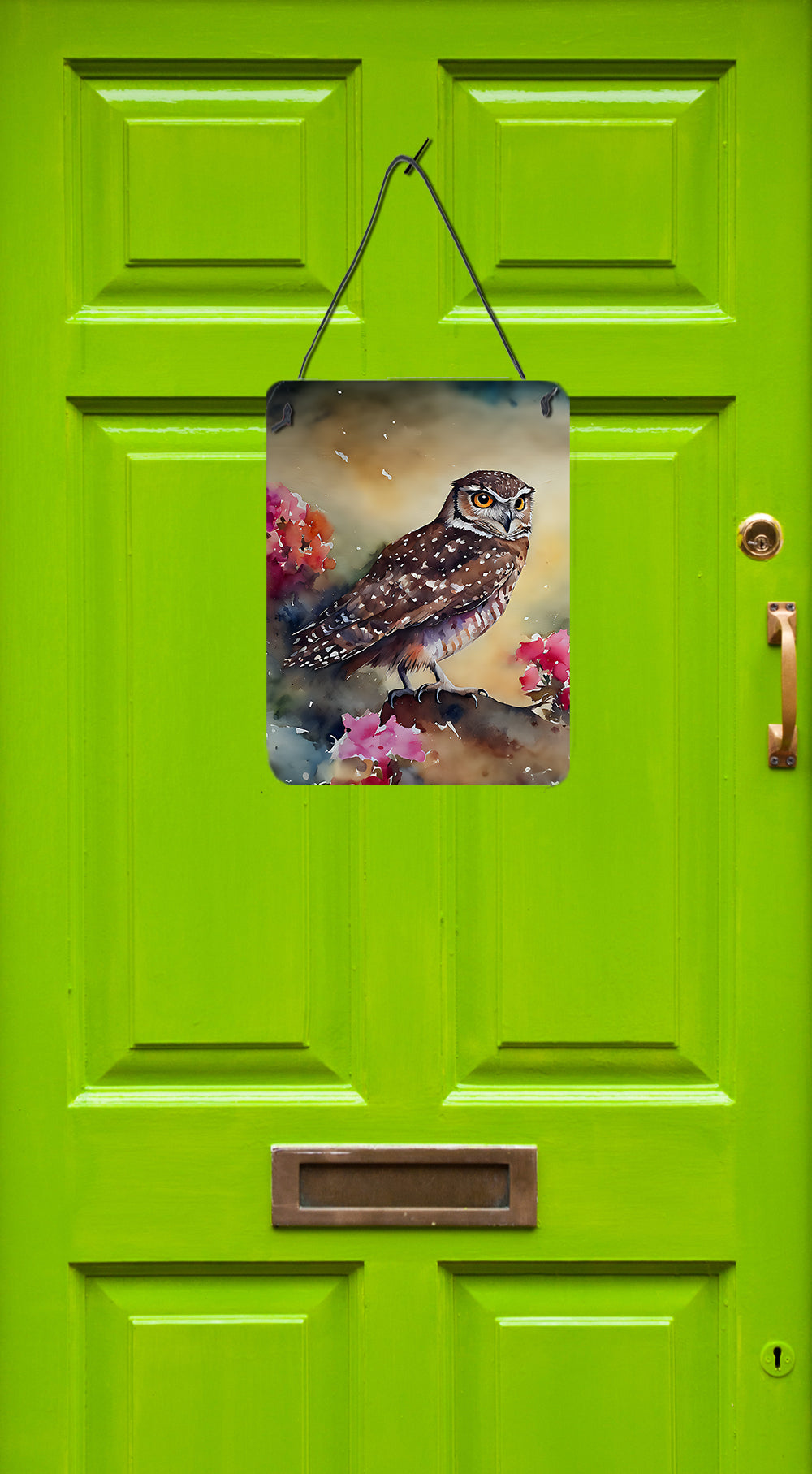 Buy this Burrowing Owl Wall or Door Hanging Prints