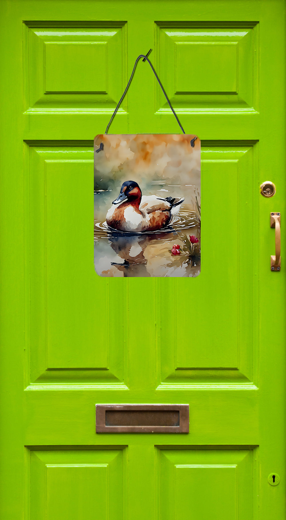 Buy this Canvasback Wall or Door Hanging Prints