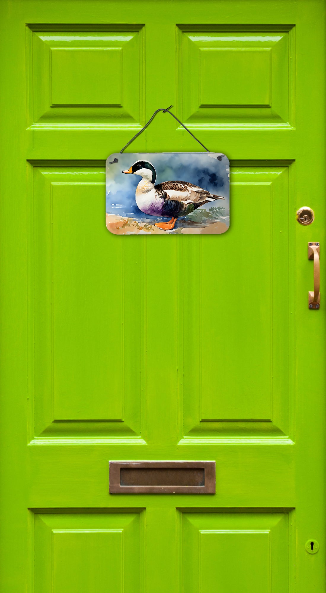 Buy this Common Eider Duck Wall or Door Hanging Prints