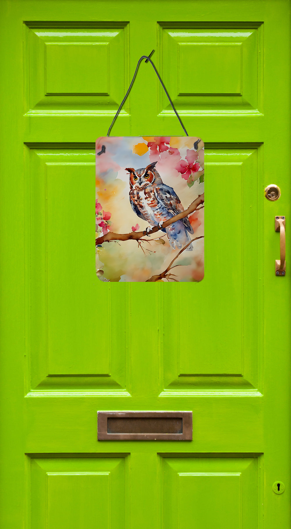 Buy this Eastern Screech Owl Wall or Door Hanging Prints