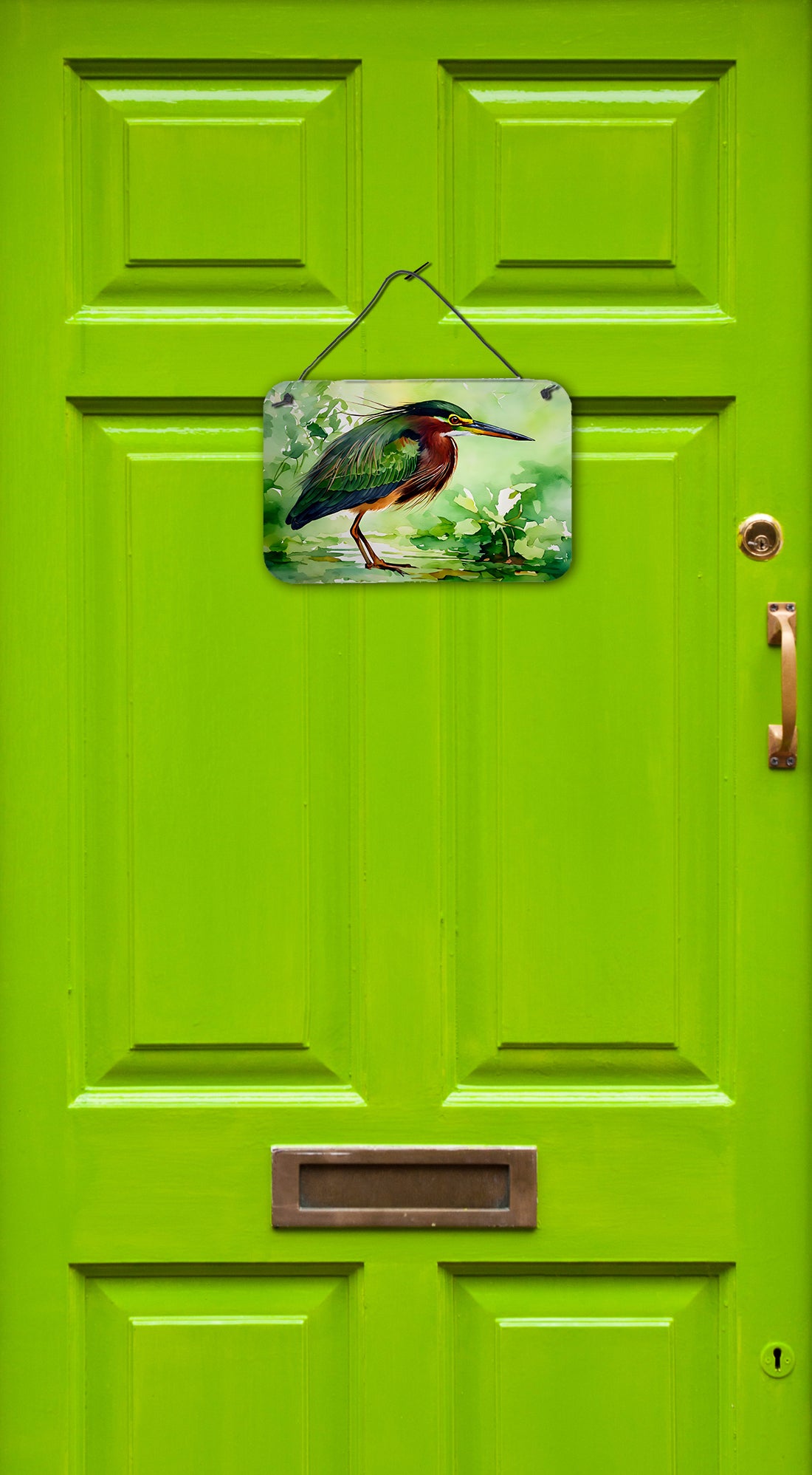 Buy this Green Heron Wall or Door Hanging Prints