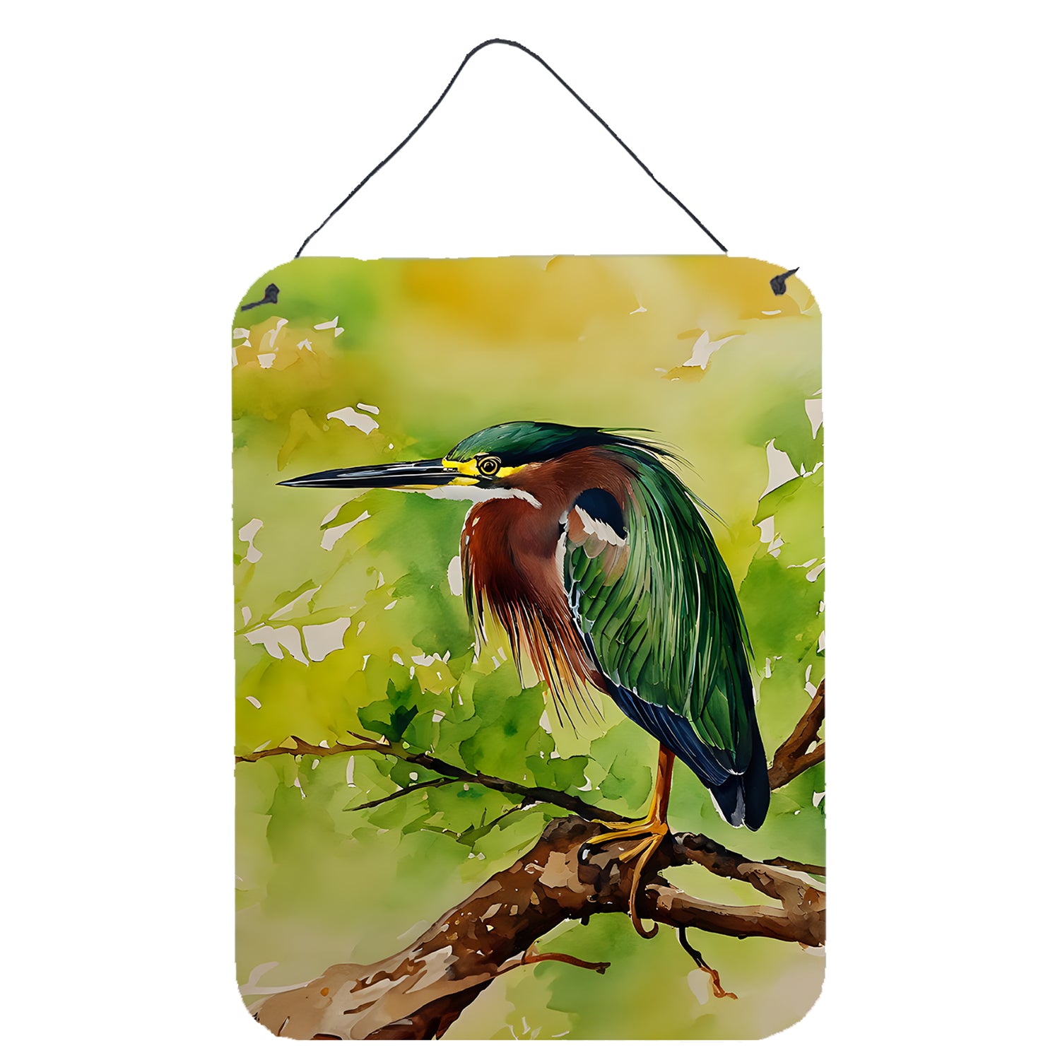 Buy this Green Heron Wall or Door Hanging Prints