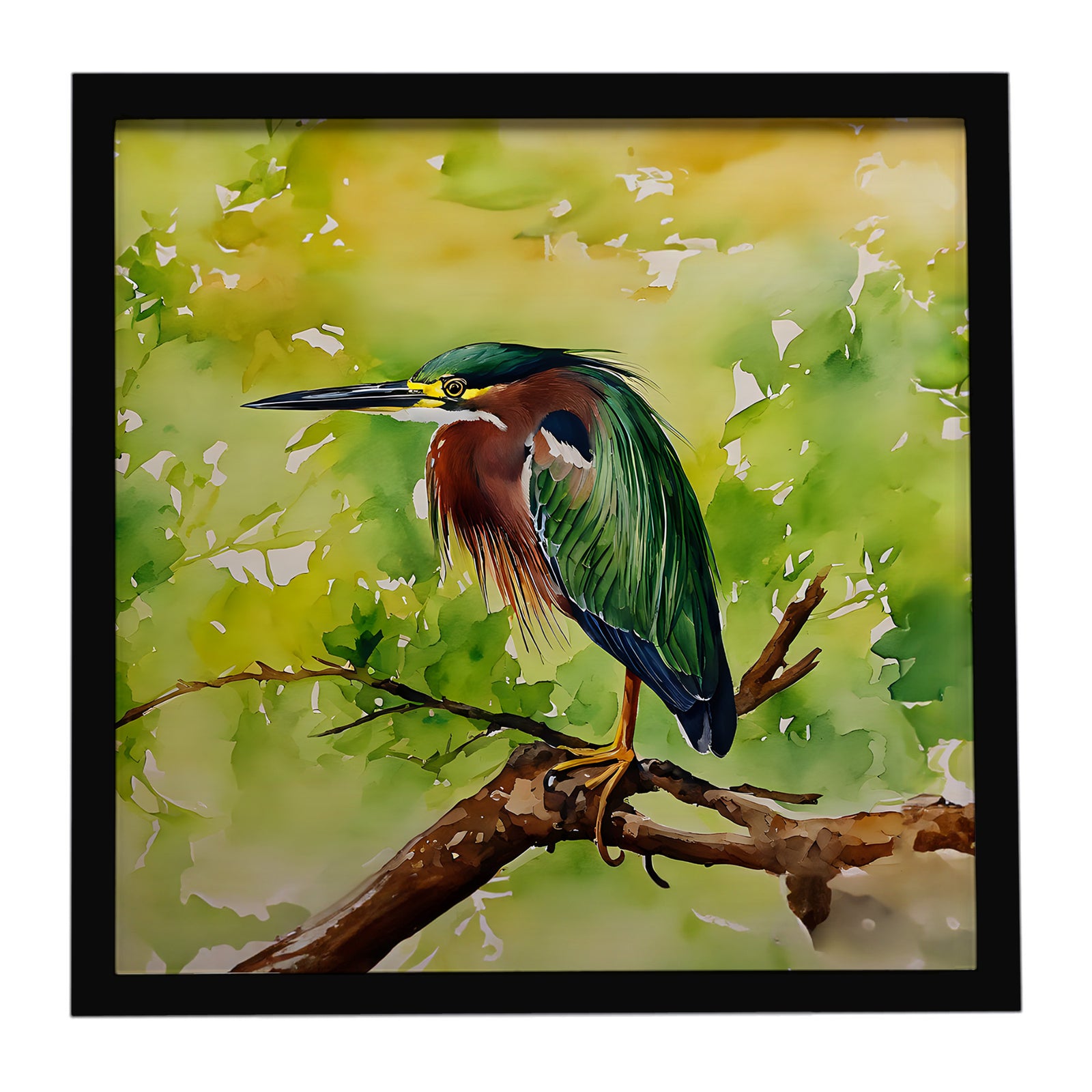 Caroline's Treasures Green Heron Framed Metal Print